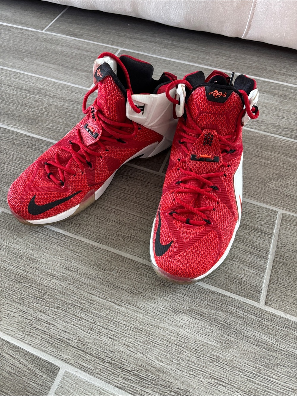 Nike LeBron 12 Heart of a Lion Basketball Sneakers